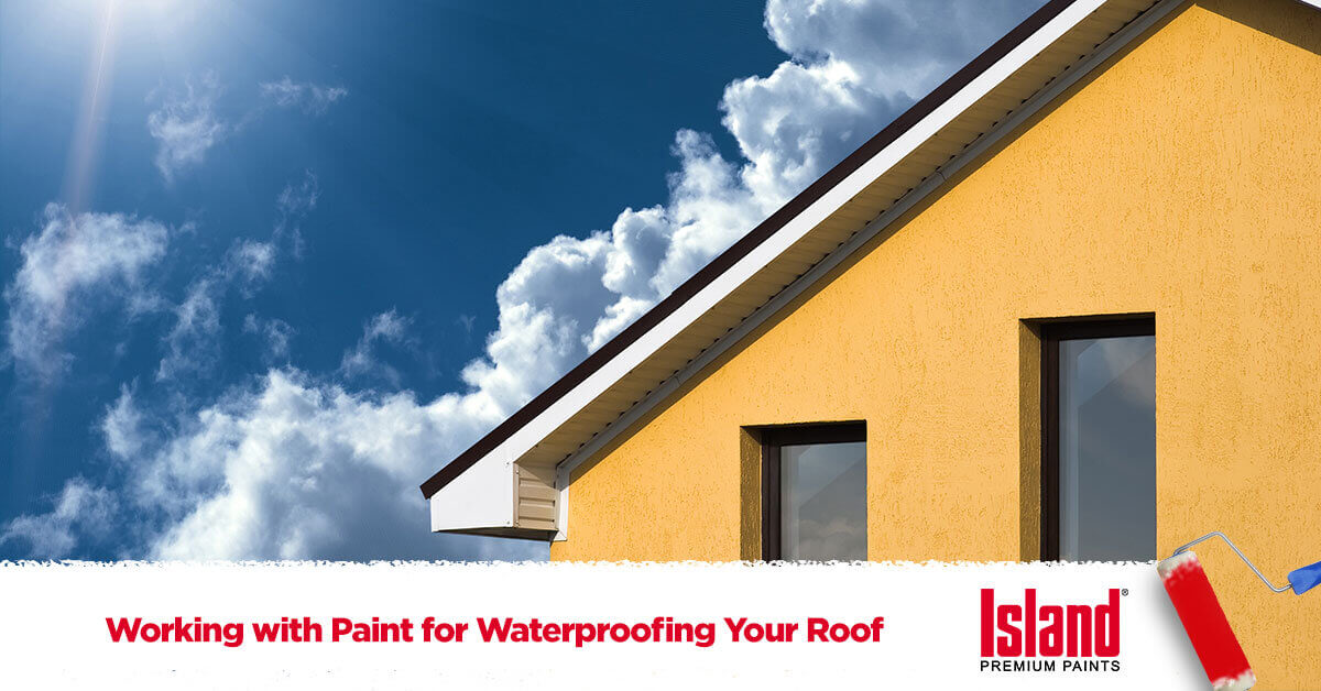 Protect Your Roof With Fired Earth DampX Waterproofing Paint 