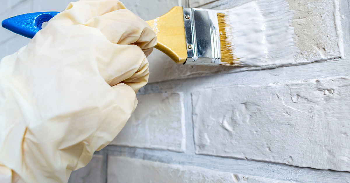 best paint for wet and moist walls