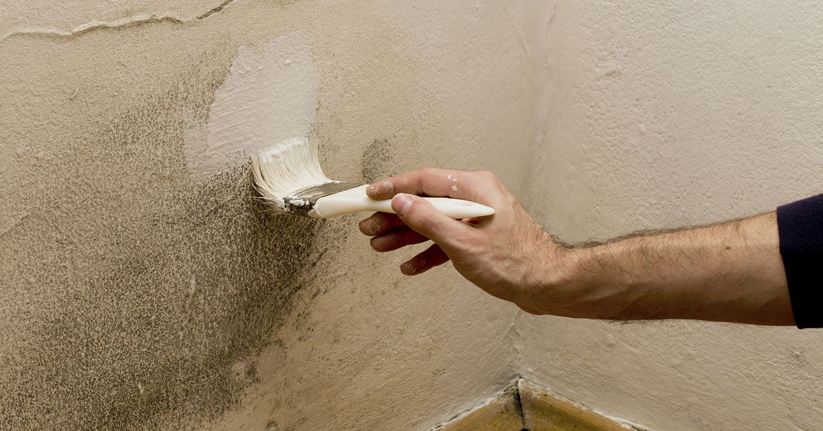 tips on how to remove dampness from wall