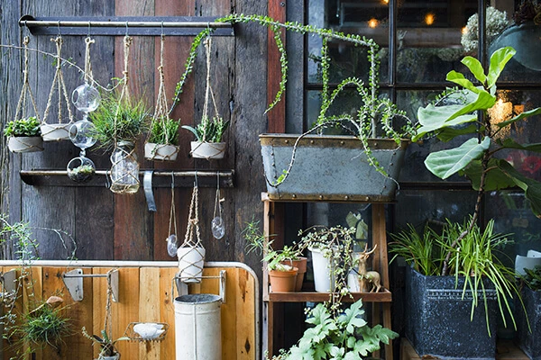 how to start your own vertical garden at home