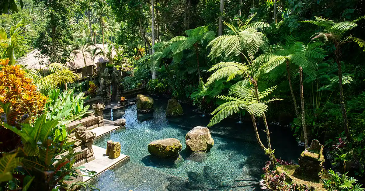 Craft your own natural swimming oasis with this ultimate guide.