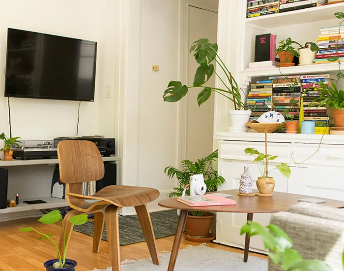 earth tone paint colors