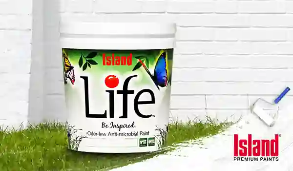 benefits of odorless anti-bacterial paints