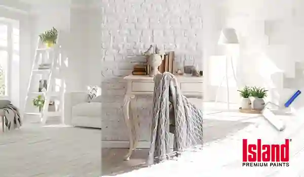 minimalist and white paints ideas for your dream home