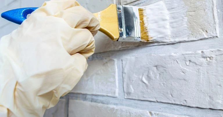 best paint for wet and moist walls