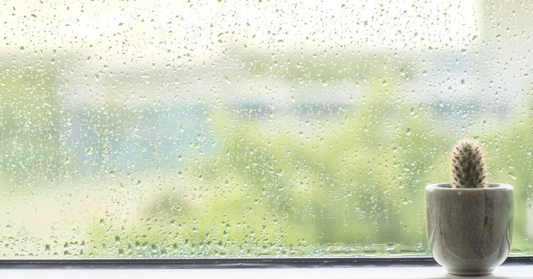painting a house in rainy weather