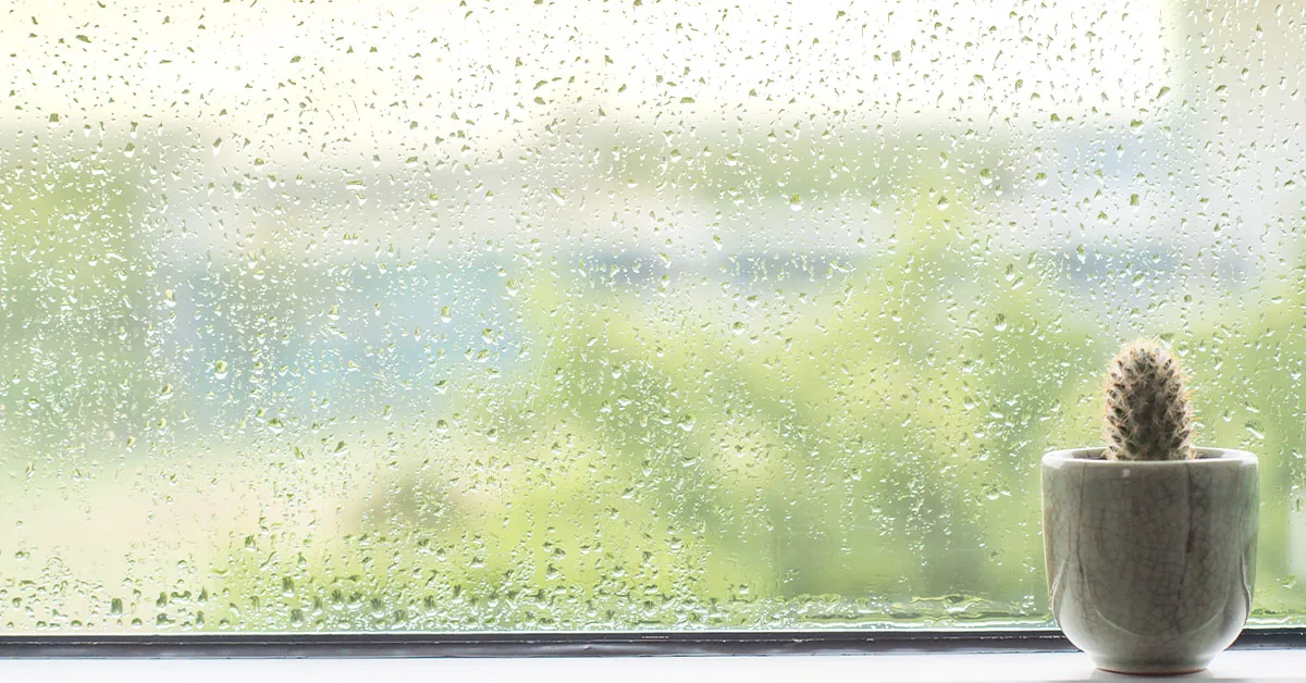 painting a house in rainy weather