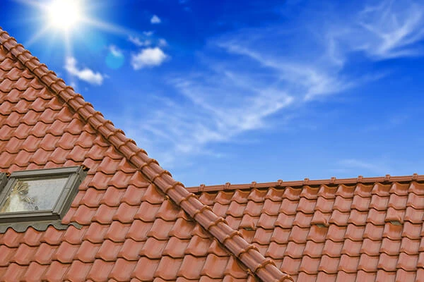 roof painting tips and tricks