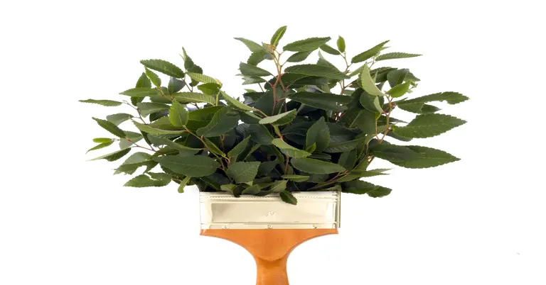 Go green with these eco-friendly design options.
