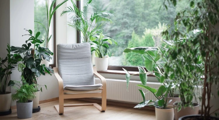 Here are sustainable materials that can help you keep your spaces green.